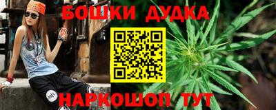крисы Коммунар