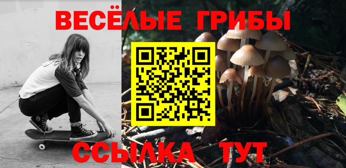 Галлюциногенные грибы Psilocybe Комсомольск-на-Амуре